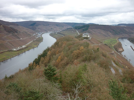 Blick vom Aussichtsturm Prinzenkopf
